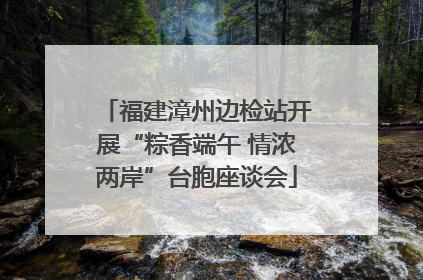 福建漳州边检站开展“粽香端午 情浓两岸”台胞座谈会