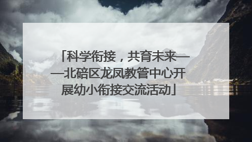 科学衔接，共育未来——北碚区龙凤教管中心开展幼小衔接交流活动