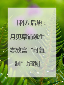 科左后旗：月见草铺就生态致富“可复制”新路