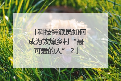 科技特派员如何成为敦煌乡村“最可爱的人”？