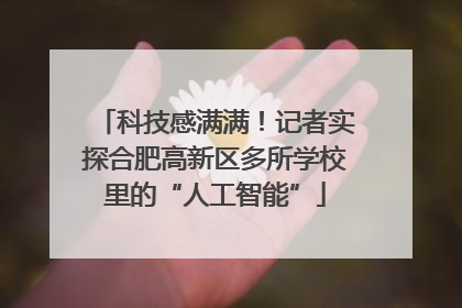 科技感满满！记者实探合肥高新区多所学校里的“人工智能”