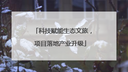 科技赋能生态文旅，项目落地产业升级