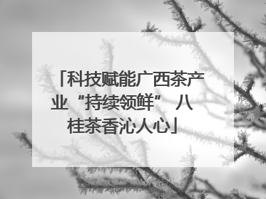 科技赋能广西茶产业“持续领鲜” 八桂茶香沁人心