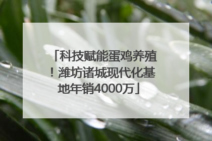科技赋能蛋鸡养殖！潍坊诸城现代化基地年销4000万