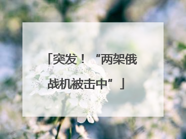 突发！“两架俄战机被击中”