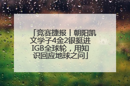 竞赛捷报丨朝阳凯文学子4金2银挺进IGB全球轮，用知识回应地球之问