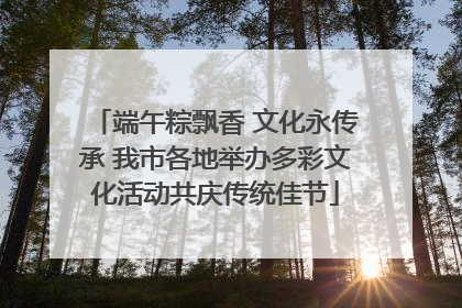 端午粽飘香 文化永传承 我市各地举办多彩文化活动共庆传统佳节
