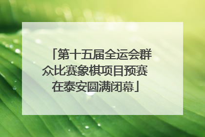 第十五届全运会群众比赛象棋项目预赛在泰安圆满闭幕
