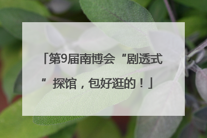 第9届南博会“剧透式”探馆，包好逛的！