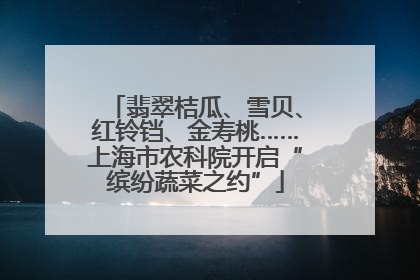 翡翠桔瓜、雪贝、红铃铛、金寿桃……上海市农科院开启“缤纷蔬菜之约”