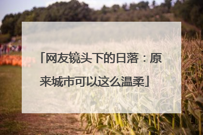 网友镜头下的日落：原来城市可以这么温柔