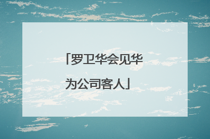罗卫华会见华为公司客人