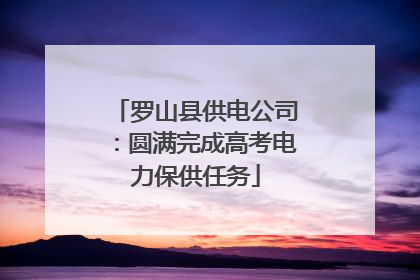 罗山县供电公司：圆满完成高考电力保供任务