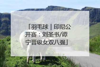 羽毛球｜印尼公开赛：刘圣书/谭宁晋级女双八强