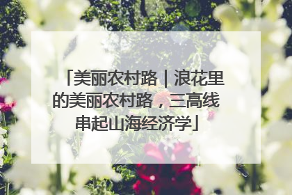 美丽农村路｜浪花里的美丽农村路，三高线串起山海经济学