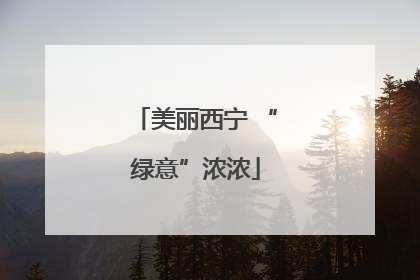 美丽西宁 “绿意”浓浓