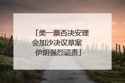 美一票否决安理会加沙决议草案 伊朗强烈谴责