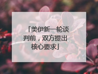美伊新一轮谈判前，双方提出核心要求