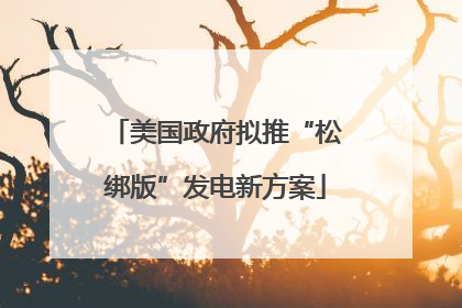 美国政府拟推“松绑版”发电新方案