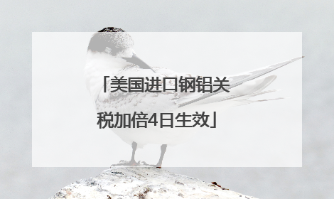美国进口钢铝关税加倍4日生效