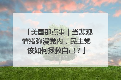 美国那点事｜当悲观情绪弥漫党内，民主党该如何拯救自己？