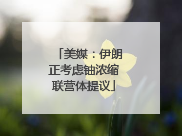美媒：伊朗正考虑铀浓缩联营体提议