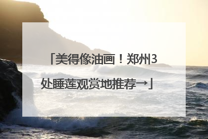 美得像油画！郑州3处睡莲观赏地推荐→
