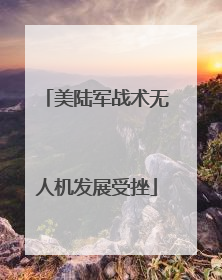 美陆军战术无人机发展受挫