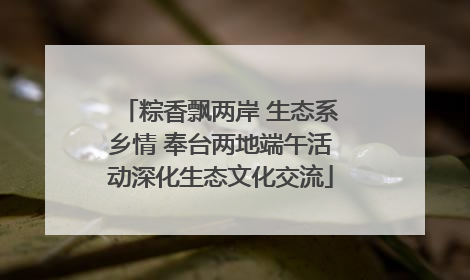 粽香飘两岸 生态系乡情 奉台两地端午活动深化生态文化交流