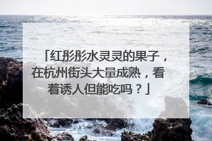 红彤彤水灵灵的果子，在杭州街头大量成熟，看着诱人但能吃吗？