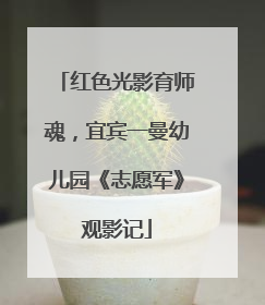 红色光影育师魂，宜宾一曼幼儿园《志愿军》观影记