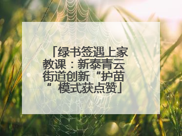 绿书签遇上家教课：新泰青云街道创新“护苗”模式获点赞