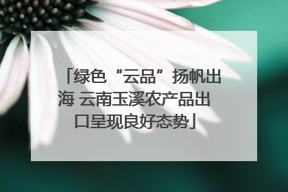 绿色“云品”扬帆出海 云南玉溪农产品出口呈现良好态势