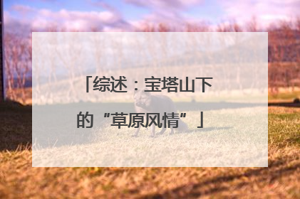 综述：宝塔山下的“草原风情”
