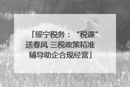绥宁税务：“税课”送春风 三税政策精准辅导助企合规经营