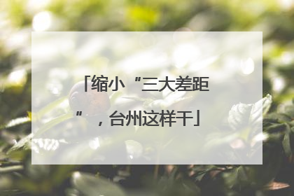 缩小“三大差距”，台州这样干