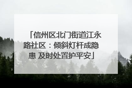 信州区北门街道江永路社区：倾斜灯杆成隐患 及时处置护平安
