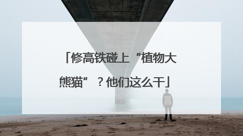 修高铁碰上“植物大熊猫”？他们这么干