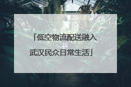 低空物流配送融入武汉民众日常生活