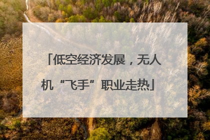 低空经济发展，无人机“飞手”职业走热