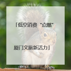 低空消费“点燃”厦门文旅新活力