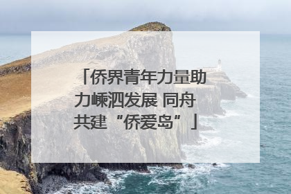 侨界青年力量助力嵊泗发展 同舟共建“侨爱岛”