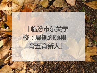 临汾市东关学校：展规划硕果 育五育新人