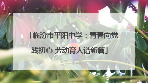 临汾市平阳中学：青春向党践初心 劳动育人谱新篇