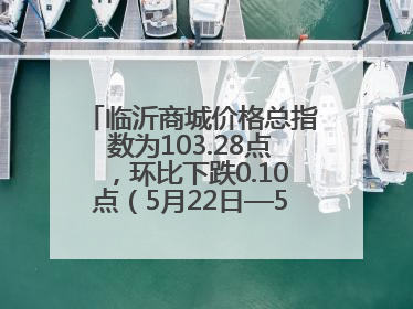 临沂商城价格总指数为103.28点，环比下跌0.10点（5月22日—5月28日）