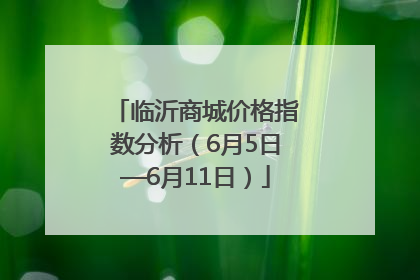 临沂商城价格指数分析（6月5日—6月11日）