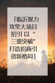 临沂聚力攻坚大项目招引 以“三重突破”打造招商引资新格局