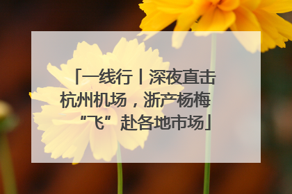 一线行丨深夜直击杭州机场，浙产杨梅“飞”赴各地市场