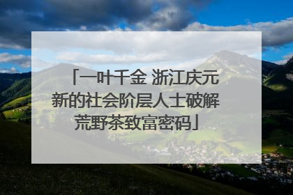 一叶千金 浙江庆元新的社会阶层人士破解荒野茶致富密码