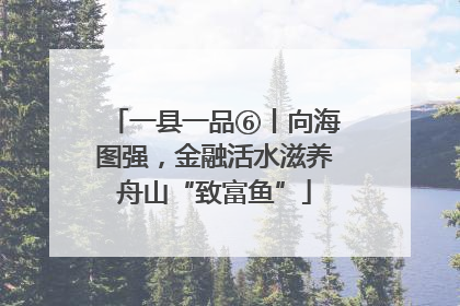 一县一品⑥丨向海图强，金融活水滋养舟山“致富鱼”